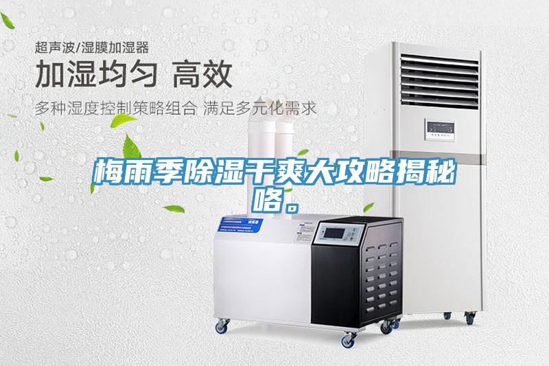 梅雨季除湿干爽大攻略揭秘咯。