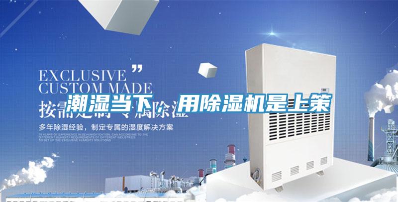 潮湿当下，用抖音成人版下载是上策