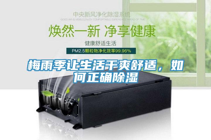 梅雨季让生活干爽舒适，如何正确除湿