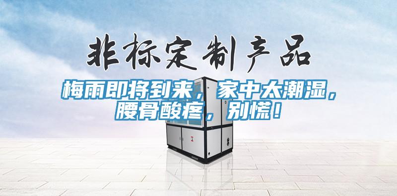 梅雨即将到来，家中太潮湿，腰骨酸疼，别慌！