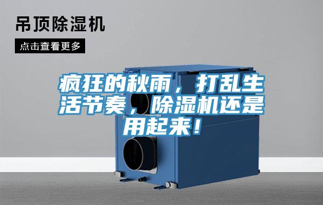 疯狂的秋雨，打乱生活节奏，抖音成人版下载还是用起来！