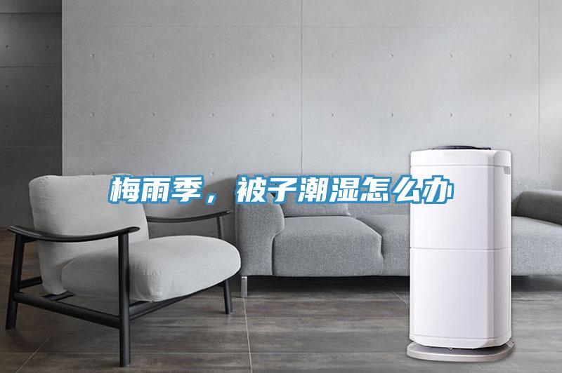 梅雨季，被子潮湿怎么办