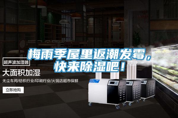 梅雨季屋里返潮发霉，快来除湿吧！