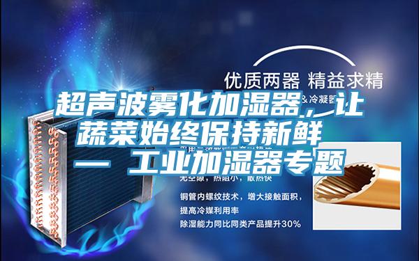 超声波雾化加湿器，让蔬菜始终保持新鲜 — 工业加湿器专题