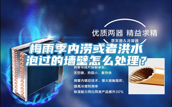 梅雨季内涝或者洪水泡过的墙壁怎么处理？