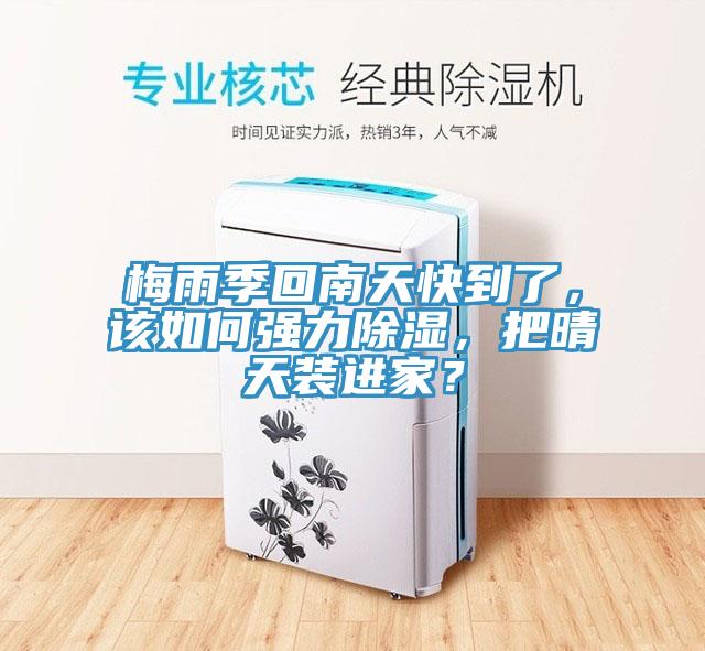 梅雨季回南天快到了，该如何强力除湿，把晴天装进家？