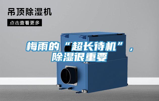 梅雨的“超长待机”，除湿很重要