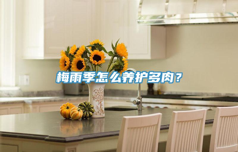 梅雨季怎么养护多肉？