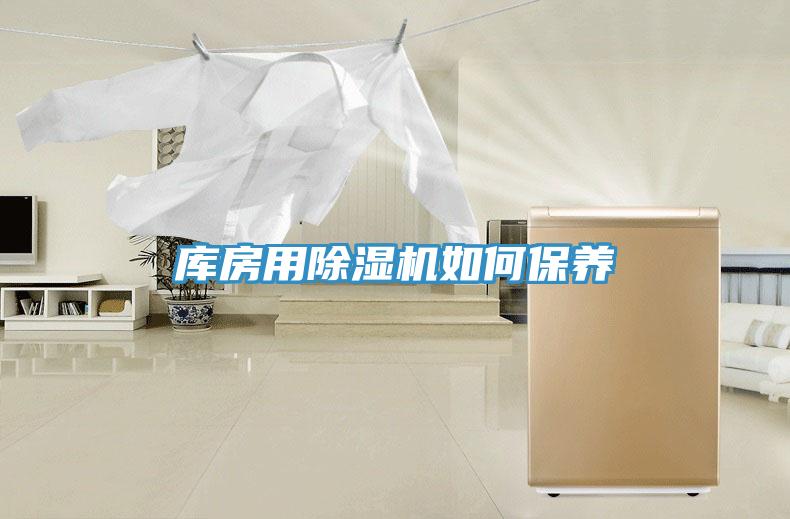 库房用抖音成人版下载如何保养