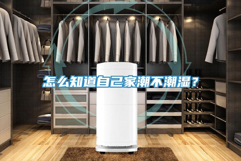 怎么知道自己家潮不潮湿？