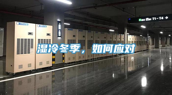 湿冷冬季，如何应对