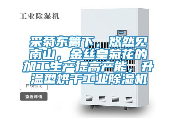 采菊东篱下，悠然见南山，金丝皇菊花的加工生产提高产能，升温型烘干工业抖音成人版下载