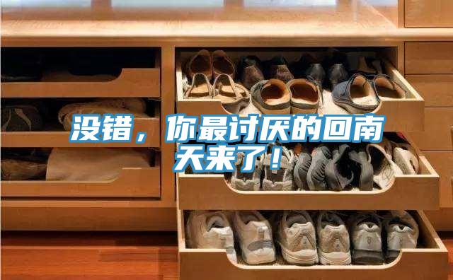 没错，你最讨厌的回南天来了！