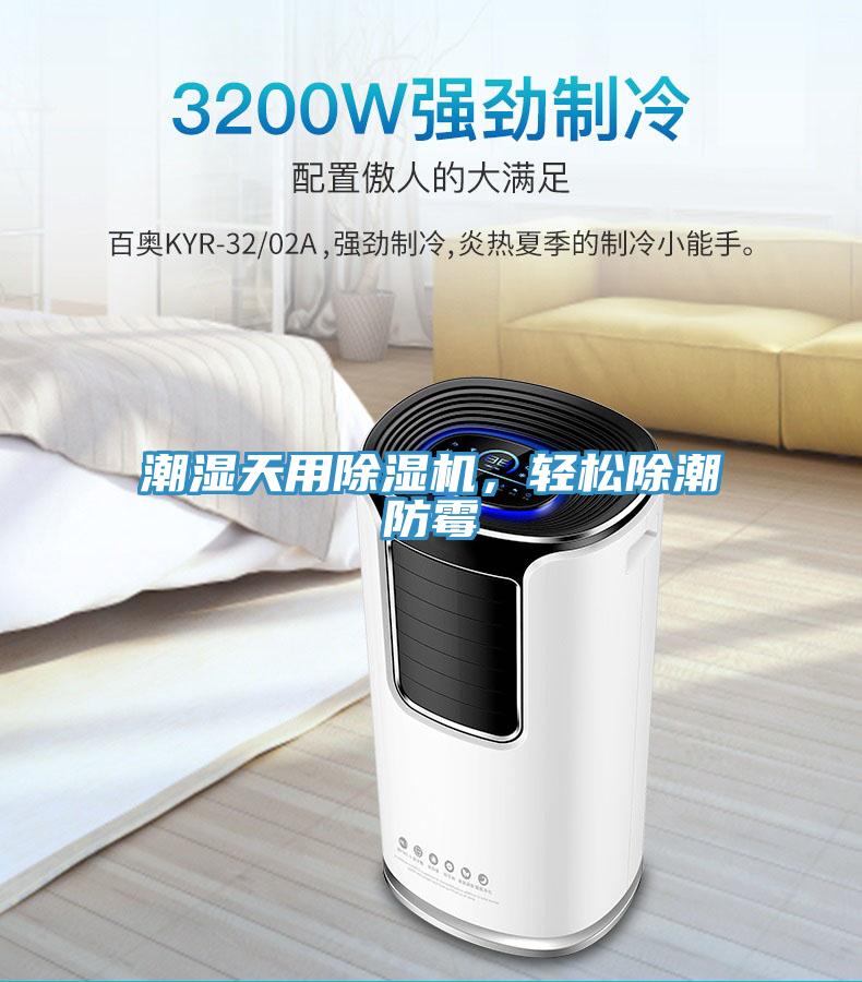 潮湿天用抖音成人版下载，轻松除潮防霉