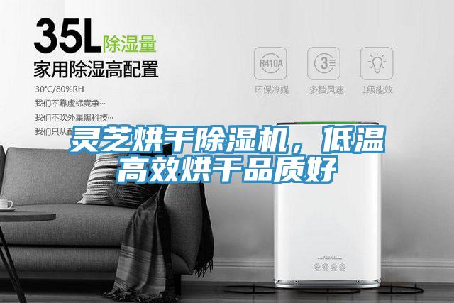 灵芝烘干抖音成人版下载，低温高效烘干品质好