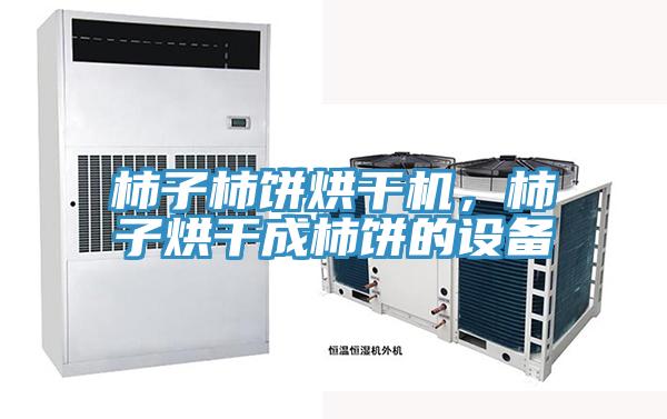 柿子柿饼烘干机，柿子烘干成柿饼的设备