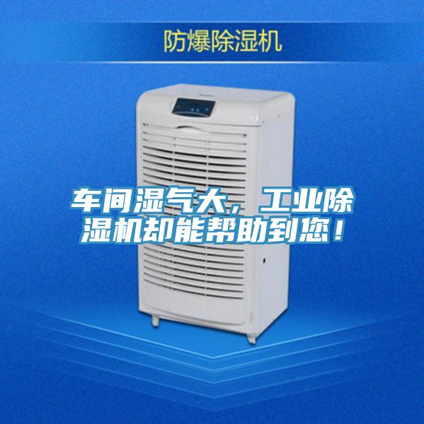 车间湿气大，工业抖音成人版下载却能帮助到您！