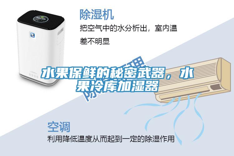水果保鲜的秘密武器，水果冷库加湿器