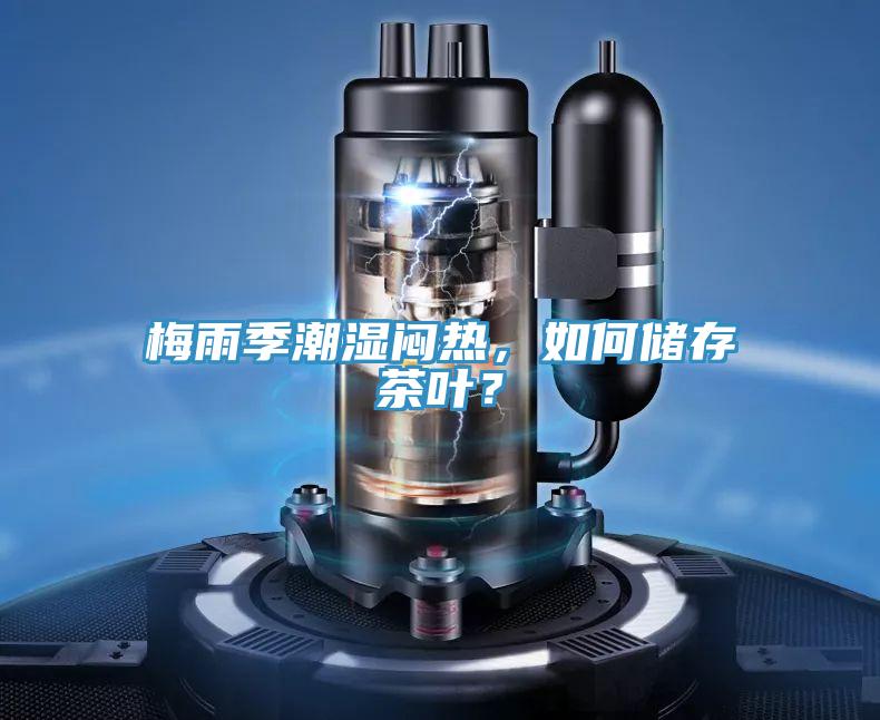 梅雨季潮湿闷热，如何储存茶叶？