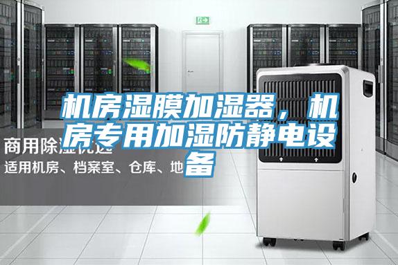 机房湿膜加湿器，机房专用加湿防静电设备