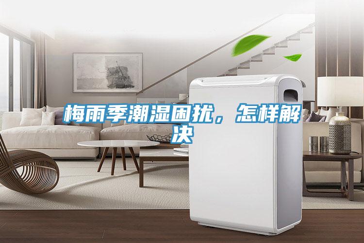 梅雨季潮湿困扰，怎样解决