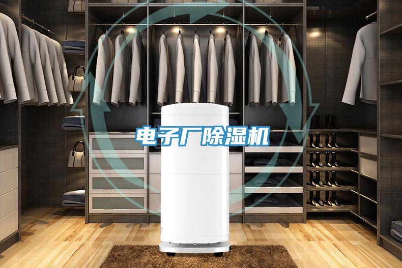 电子厂抖音成人版下载