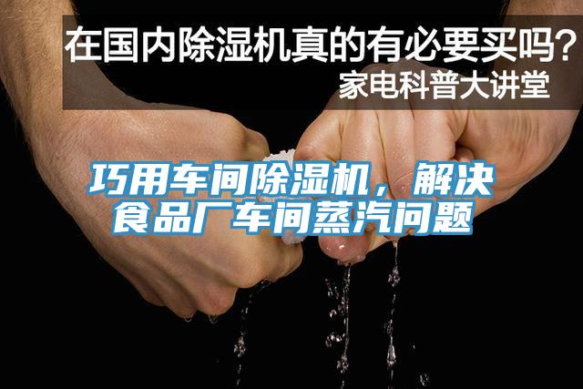 巧用车间抖音成人版下载，解决食品厂车间蒸汽问题