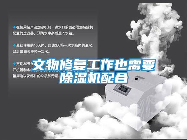 文物修复工作也需要抖音成人版下载配合