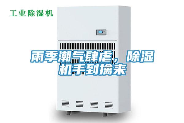 雨季潮气肆虐，抖音成人版下载手到擒来