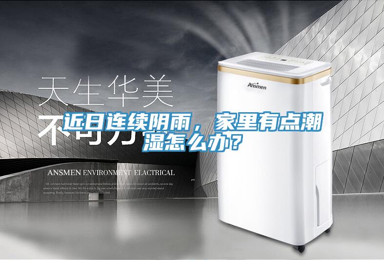 近日连续阴雨，家里有点潮湿怎么办？