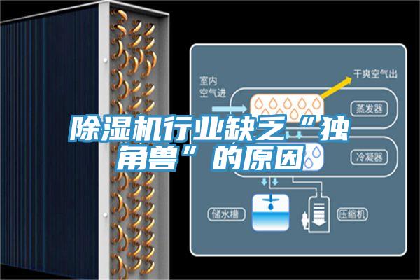 抖音成人版下载行业缺乏“独角兽”的原因