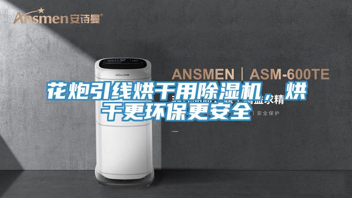 花炮引线烘干用抖音成人版下载，烘干更环保更安全