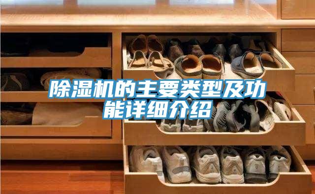 抖音成人版下载的主要类型及功能详细介绍