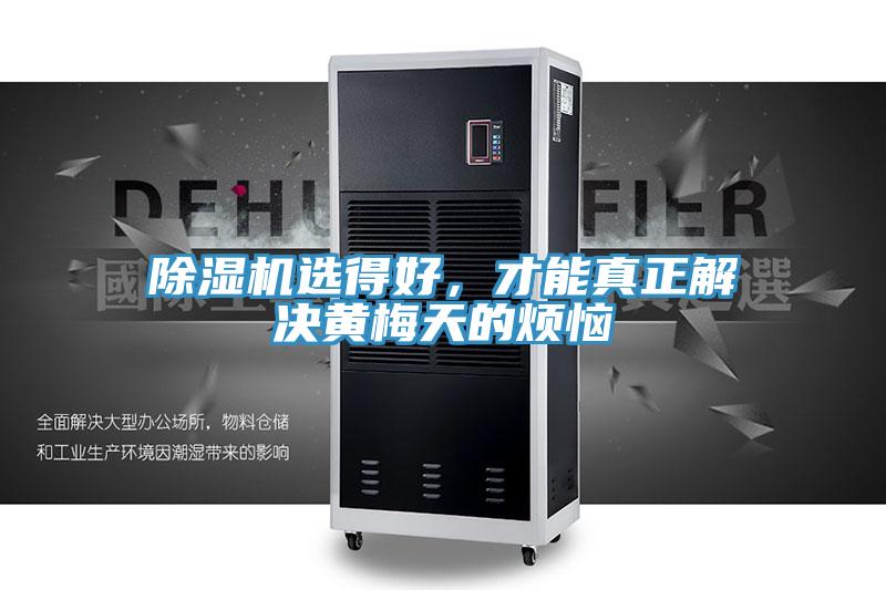 抖音成人版下载选得好，才能真正解决黄梅天的烦恼