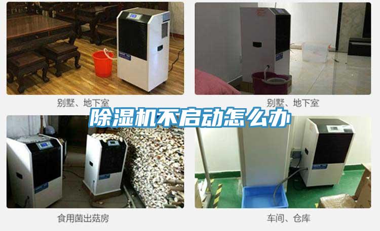 抖音成人版下载不启动怎么办