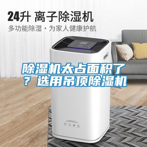 抖音成人版下载太占面积了？选用吊顶抖音成人版下载