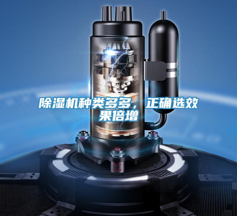 抖音成人版下载种类多多，正确选效果倍增