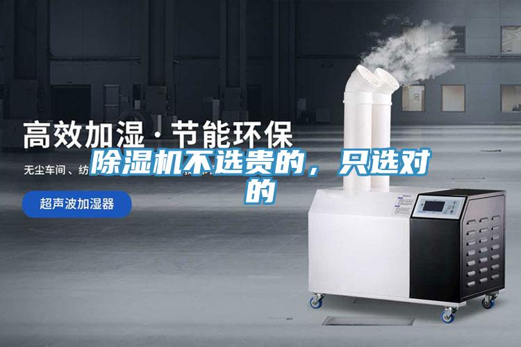 抖音成人版下载不选贵的，只选对的