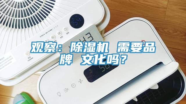 观察：抖音成人版下载 需要品牌 文化吗？