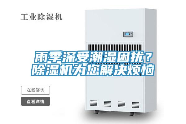 雨季深受潮湿困扰？抖音成人版下载为您解决烦恼