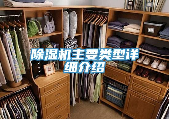 抖音成人版下载主要类型详细介绍