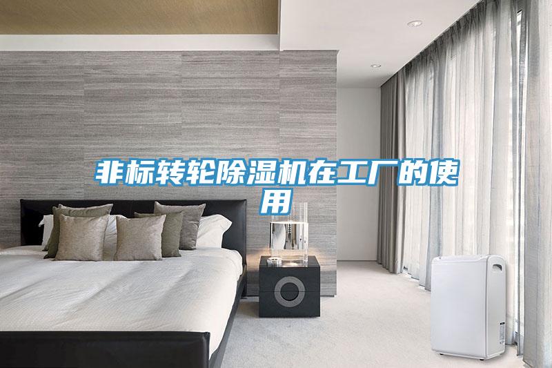 非标转轮抖音成人版下载在工厂的使用