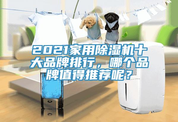 2021家用抖音成人版下载十大品牌排行，哪个品牌值得推荐呢？