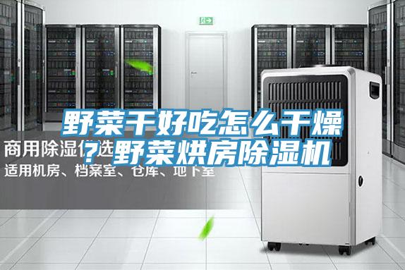 野菜干好吃怎么干燥？野菜烘房抖音成人版下载