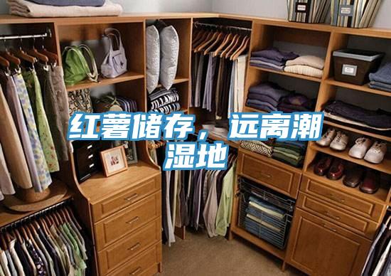 红薯储存，远离潮湿地