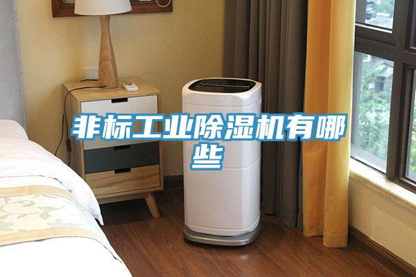 非标工业抖音成人版下载有哪些