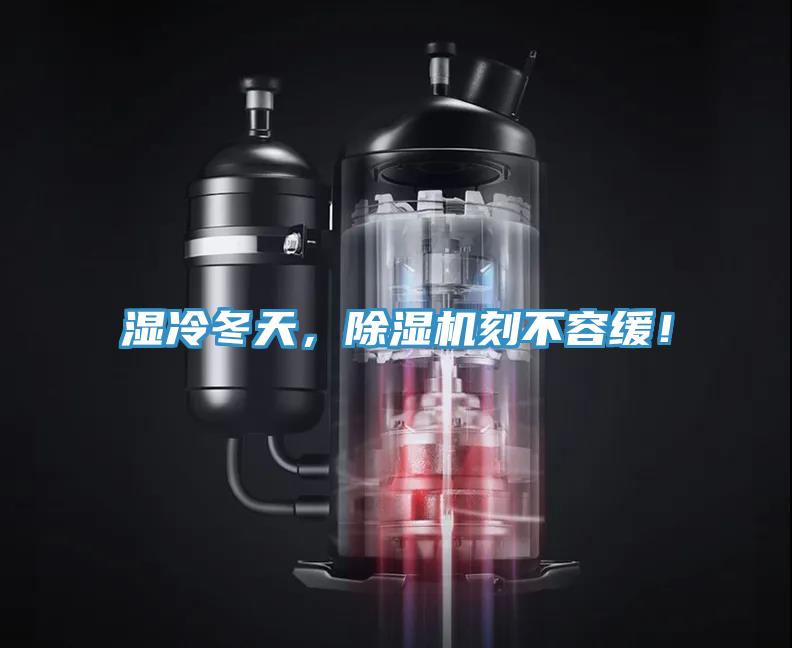 湿冷冬天，抖音成人版下载刻不容缓！