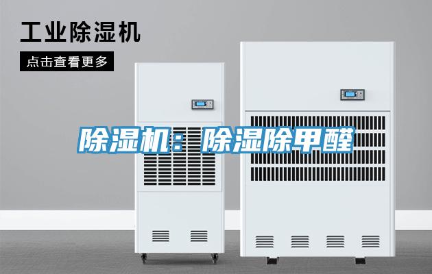 抖音成人版下载：除湿除甲醛