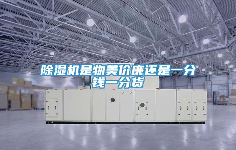 抖音成人版下载是物美价廉还是一分钱一分货