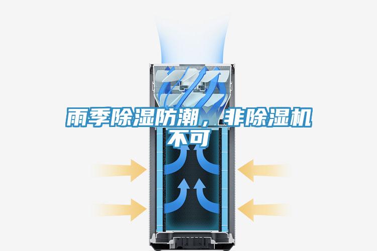 雨季除湿防潮，非抖音成人版下载不可